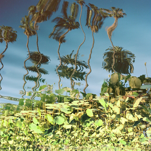 中国裸体美女交配
