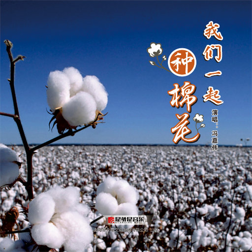 中国裸体美女交配
